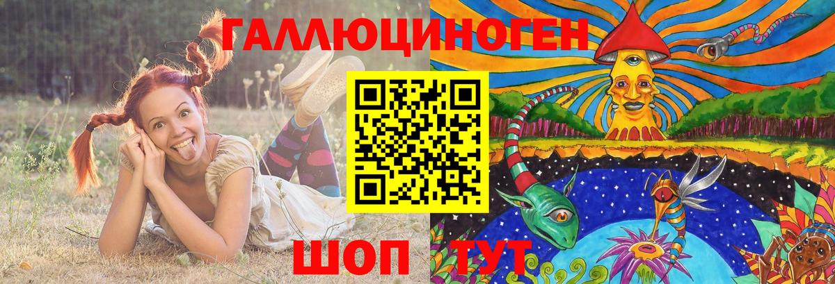 Псилоцибиновые грибы Cubensis Воркута