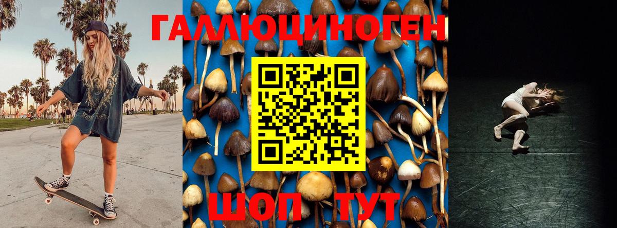 Воркута  Псилоцибиновые грибы Psilocybine cubensis  Вход с VPN 